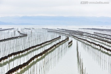 霞浦