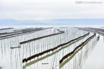 滩涂风光