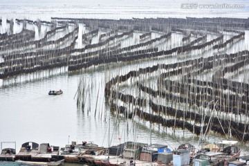 霞浦风光