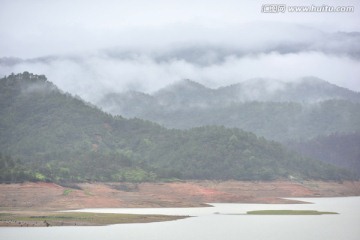 迷雾森林