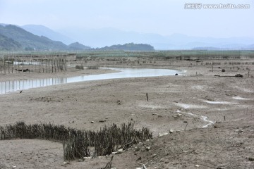 滩涂湿地