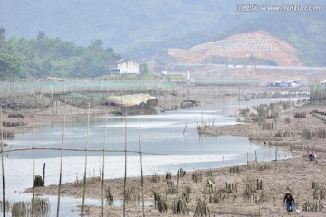 滩涂湿地