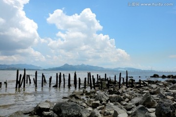 深圳湾风光