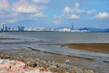 深圳湾风光