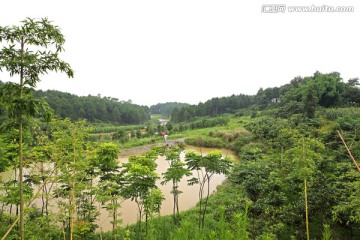 田园田野