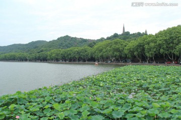 西湖风景