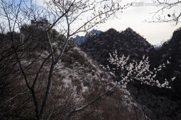 箭扣长城花季 逆光