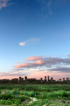 湿地 晚霞