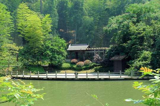 千岛湖风景