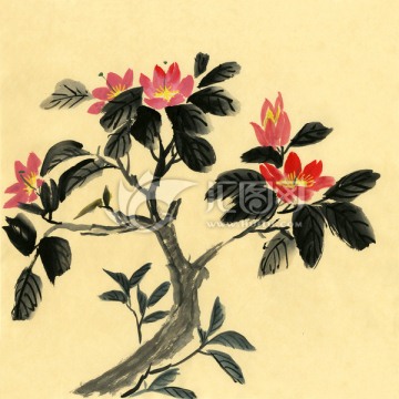 國畫山茶花