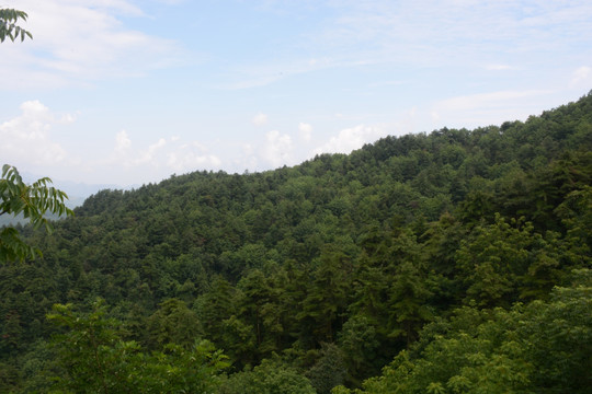 鸡峰山