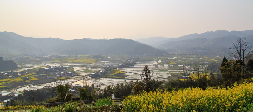 叙永落卜云山坝万亩稻田油菜花