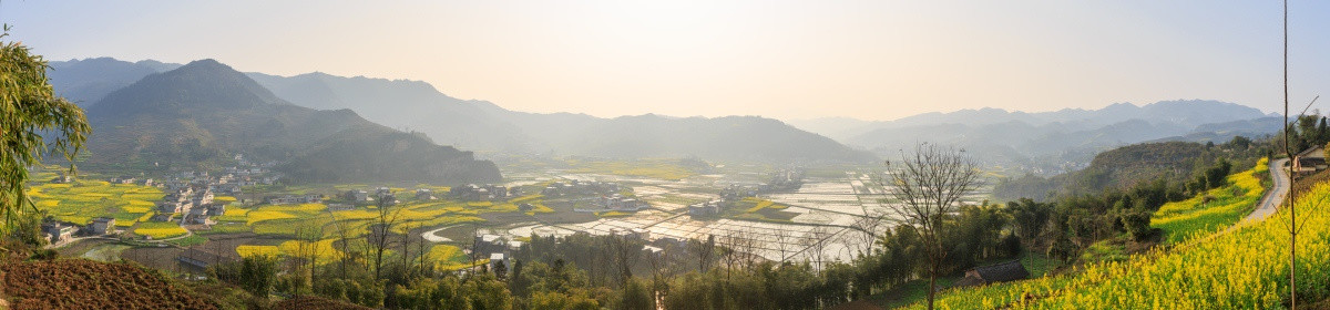 叙永云山坝万亩稻田长图全景接片