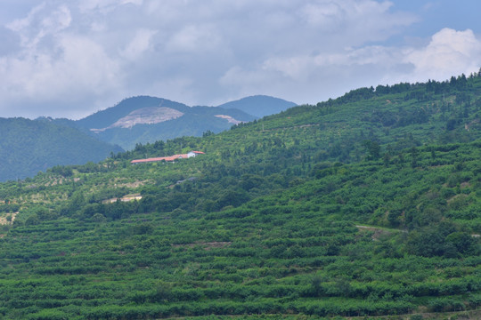 云和山