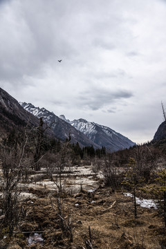 高原景观