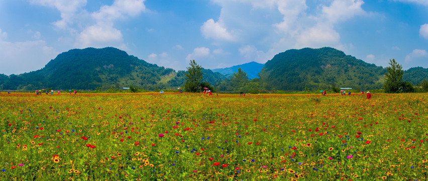 彭州花海