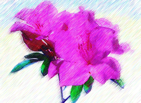 兒童房裝飾畫 水彩畫 花