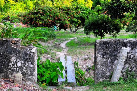 田园风光 乡村 山间小路