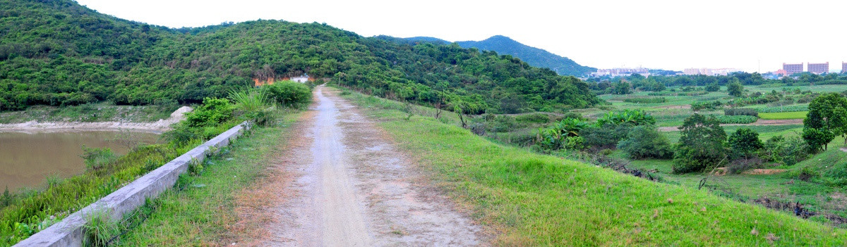 田园风光 乡村 山间小路