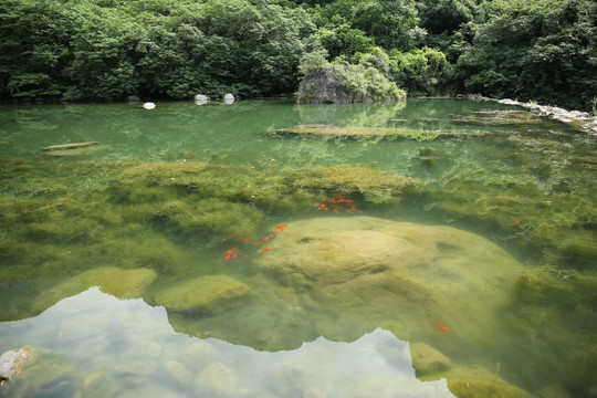 云台山风景