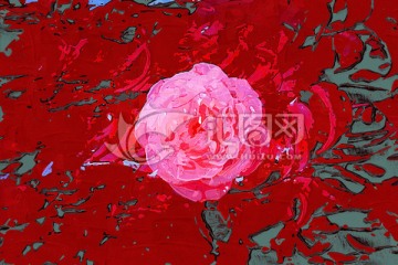 月季花油畫