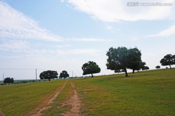 草原