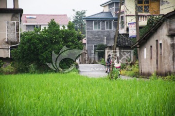 乡村风景 新农村 田园生活