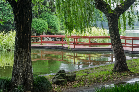 华家池小桥