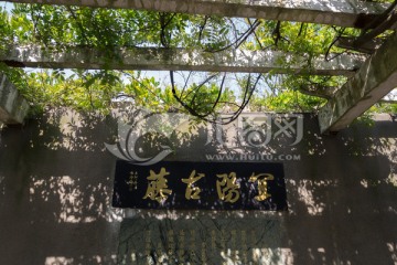上海闵行古藤园