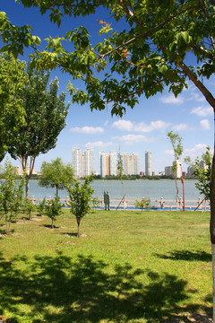 黎明湖 園林 園藝