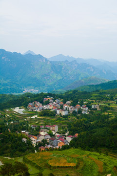 茗岙风光