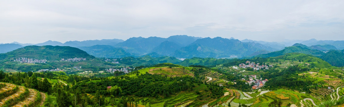 茗岙全景