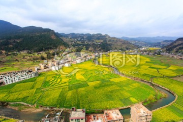 古蔺双沙画里乡村蜿蜒小河油菜花