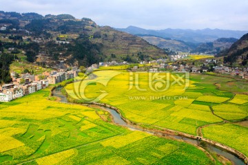 古蔺双沙画里乡村蜿蜒小河油菜花