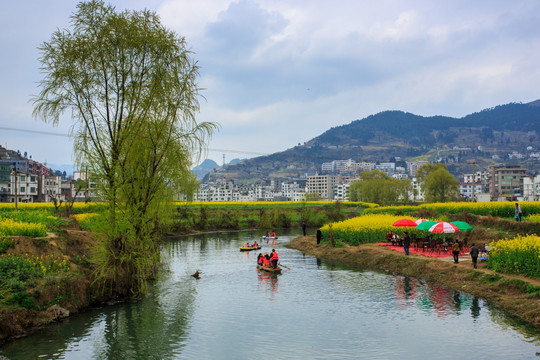 古蔺双沙油菜花小河柳树小木船