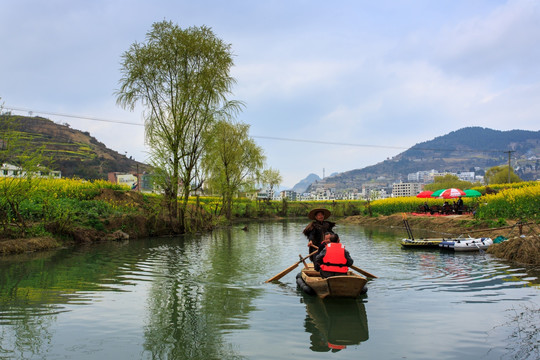 古蔺双沙油菜花小河柳树小木船