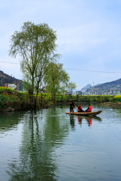 古蔺双沙油菜花小河柳树小木船