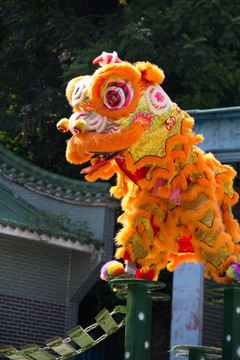 黄飞鸿武术馆舞狮表演