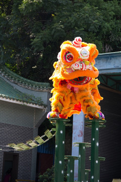 黄飞鸿武术馆舞狮表演