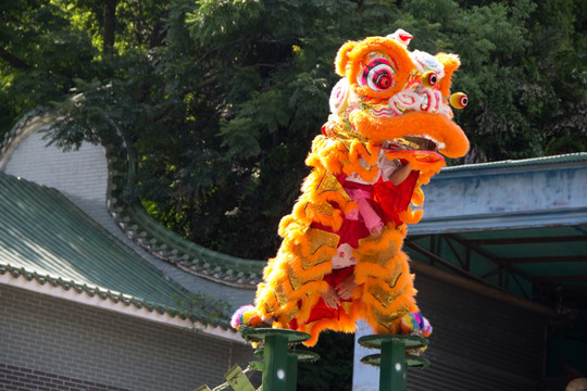 黄飞鸿武术馆舞狮表演