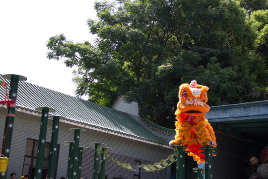 黄飞鸿武术馆舞狮表演