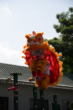 黄飞鸿武术馆舞狮表演