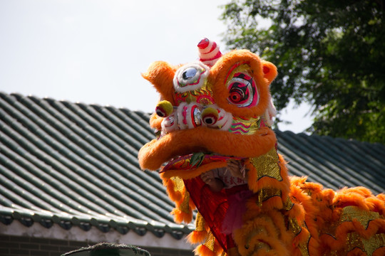 黄飞鸿武术馆舞狮表演