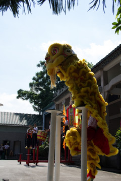 顺德西樵山黄飞鸿武术馆舞狮表演