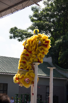 黄飞鸿武馆舞狮表演