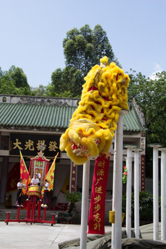 黄飞鸿武馆舞狮表演