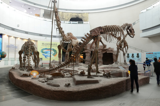 福建博物院恐龙馆