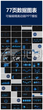 高端大气数据图表年总结PPT