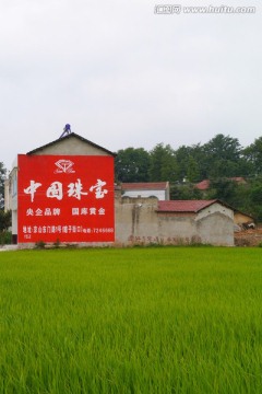 乡村风景