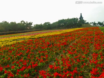 欧式花田